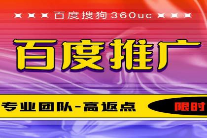 SEO百度推广策略：成功案例解析