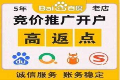 SEM托管公司案例分析：实战技巧全解析